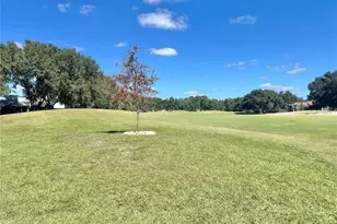 1130 Hominy Hill Dr, Trinity, FL 34655 - Photo 32