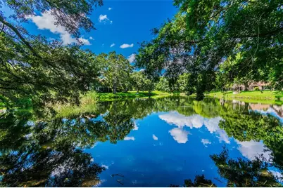 844 Park Court, Palm Harbor, FL 34683 - Photo 60