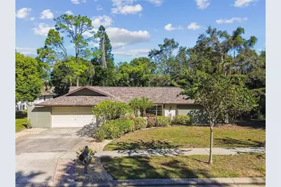844 Park Court, Palm Harbor, FL 34683 - Photo 50