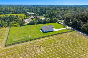 3256 Station Blvd, Brooksville, FL 34604 - Photo 52