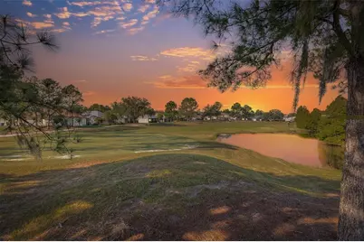 23836 Hastings Way, Land O Lakes, FL 34639 - Photo 44