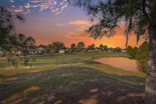23836 Hastings Way, Land O Lakes, FL 34639 - Photo 44