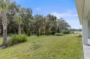 956 Club Cresswind Dr, Lady Lake, FL 32159 - Photo 36