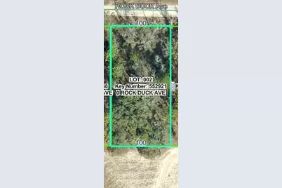 13012 Rock Duck Avenue, Weeki Wachee, FL 34614 - Photo 2