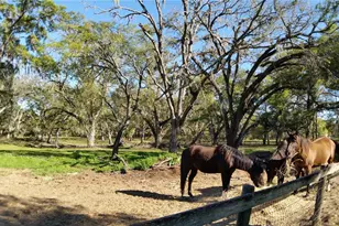 18635 Phillips Rd, Brooksville, FL 34604 - Photo 12