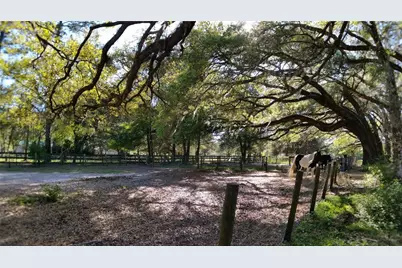 18635 Phillips Road, Brooksville, FL 34604 - Photo 14