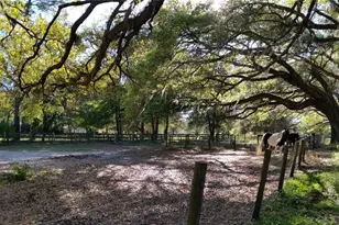 18635 Phillips Rd, Brooksville, FL 34604 - Photo 14