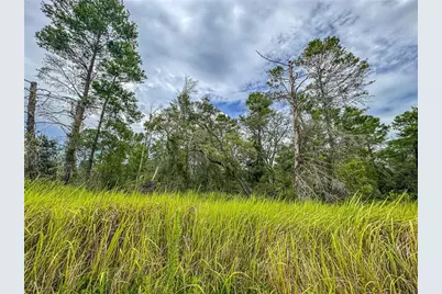 0 Bahama Swallow Avenue #9, Weeki Wachee, FL 34613 - Photo 12