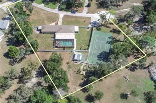 9415 Indale Dr, New Port Richey, FL 34654 - Photo 6