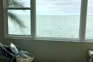 7 Dunoon Pl, Dunedin, FL 34698 - Photo 20