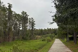 15068 Caravan Ave, Odessa, FL 33556 - Photo 32