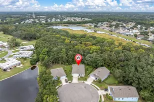 4136 Watson Dr, New Port Richey, FL 34655 - Photo 4