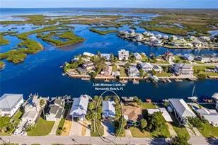 3285 Minnow Creek Dr, Hernando Beach, FL 34607 - Photo 2