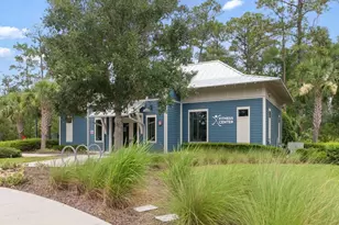 17434 Cruiser Bnd, Land O Lakes, FL 34638 - Photo 30