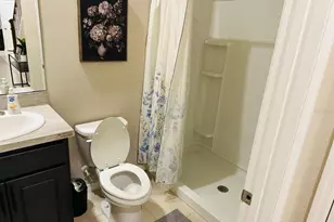 8654 Bower Bass Cir, Wesley Chapel, FL 33545 - Photo 24