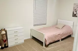 8654 Bower Bass Cir, Wesley Chapel, FL 33545 - Photo 12