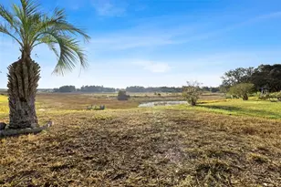 3016 Abeline Rd, Spring Hill, FL 34608 - Photo 36