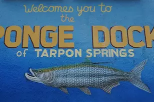 3968 Sailmaker Ln, Holiday, FL 34691 - Photo 68