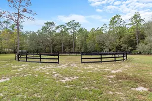 4202 N Pony Dr, Beverly Hills, FL 34465 - Photo 56