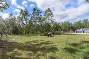 13182 Spruce Grouse Ave, Brooksville, FL 34614 - Photo 34