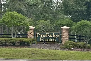 6098 N Peardale Terrace, Beverly Hills, FL 34465 - Photo 60