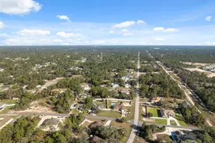 11006 Canary Ave, Weeki Wachee, FL 34613 - Photo 28