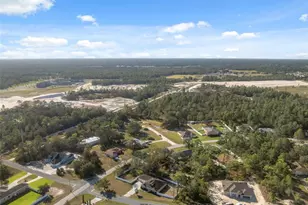 11006 Canary Ave, Weeki Wachee, FL 34613 - Photo 30