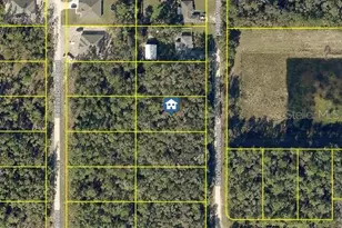 Lot 1021 Carolina Dove Rd, Weeki Wachee, FL 34614 - Photo 1
