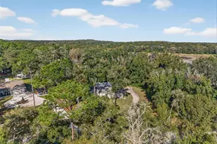 11031 Nottingham Forest Dr, Brooksville, FL 34601 - Photo 78