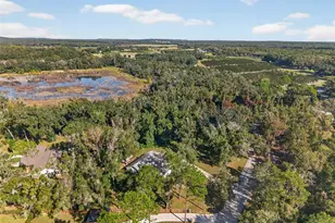 11031 Nottingham Forest Dr, Brooksville, FL 34601 - Photo 86