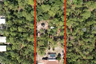 16475 Kids Ave, Weeki Wachee, FL 34614 - Photo 100