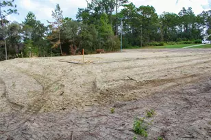 6054 N Rosewood Dr, Beverly Hills, FL 34465 - Photo 4