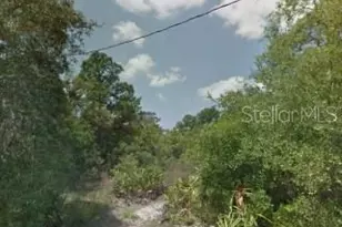 Hedges St, New Port Richey, FL 34654 - Photo 1