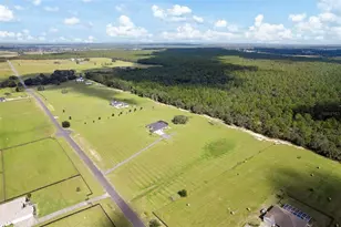 11367 S Brightstar Ave, Floral City, FL 34436 - Photo 74