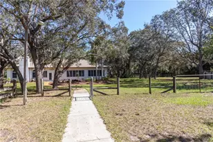 10837 Osceola Dr, New Port Richey, FL 34654 - Photo 60