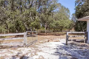 10837 Osceola Dr, New Port Richey, FL 34654 - Photo 66