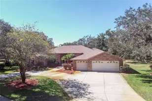 10837 Osceola Dr, New Port Richey, FL 34654 - Photo 2