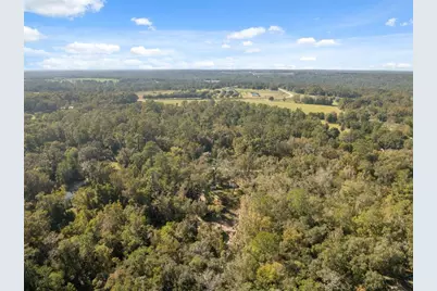 Neff Lake Road, Brooksville, FL 34601 - Photo 22