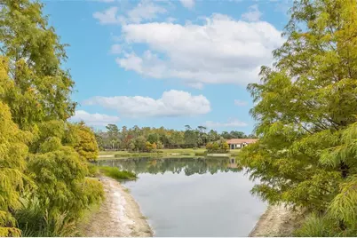 11599 Callisia Drive, Odessa, FL 33556 - Photo 58