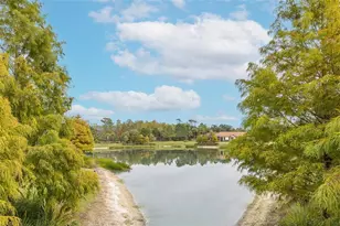 11599 Callisia Dr, Odessa, FL 33556 - Photo 58