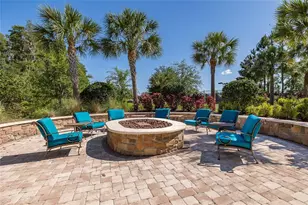 11599 Callisia Dr, Odessa, FL 33556 - Photo 84