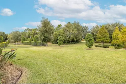 11599 Callisia Drive, Odessa, FL 33556 - Photo 64