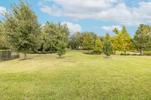 11599 Callisia Dr, Odessa, FL 33556 - Photo 60