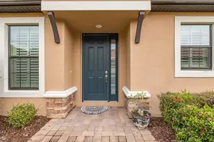 11599 Callisia Dr, Odessa, FL 33556 - Photo 74