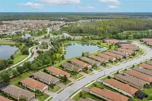 11599 Callisia Dr, Odessa, FL 33556 - Photo 78