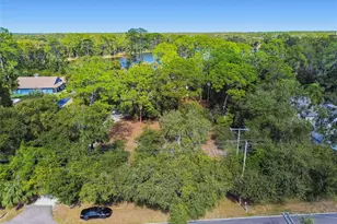 8011 N Mobley Rd, Odessa, FL 33556 - Photo 74