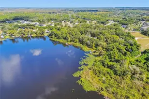 8011 N Mobley Rd, Odessa, FL 33556 - Photo 82