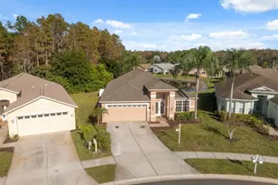 1201 Dustan Pl, Trinity, FL 34655 - Photo 42