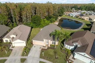 1201 Dustan Pl, Trinity, FL 34655 - Photo 44