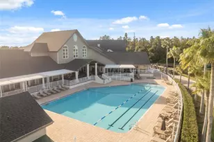 1201 Dustan Pl, Trinity, FL 34655 - Photo 64